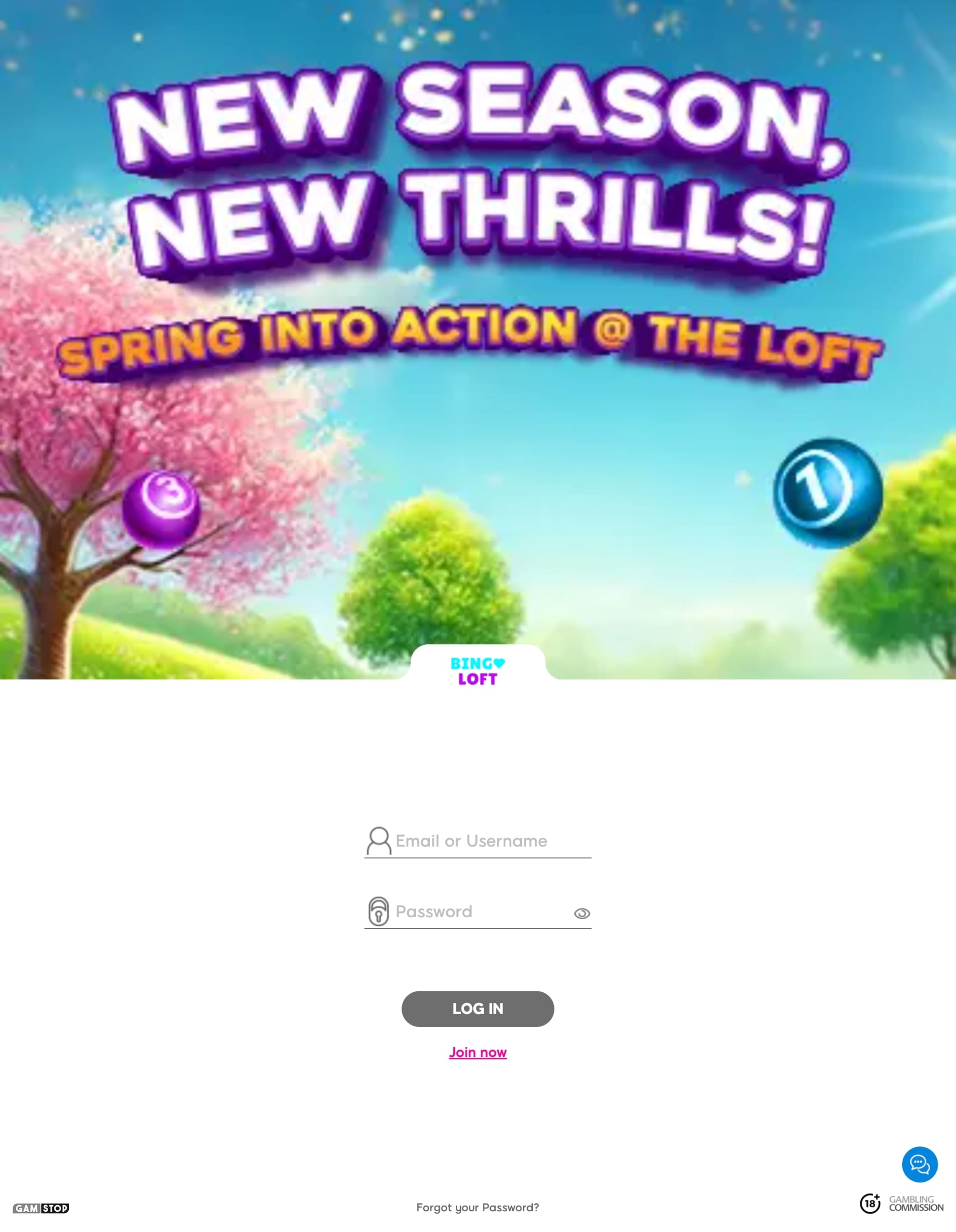 Bingo Loft Review