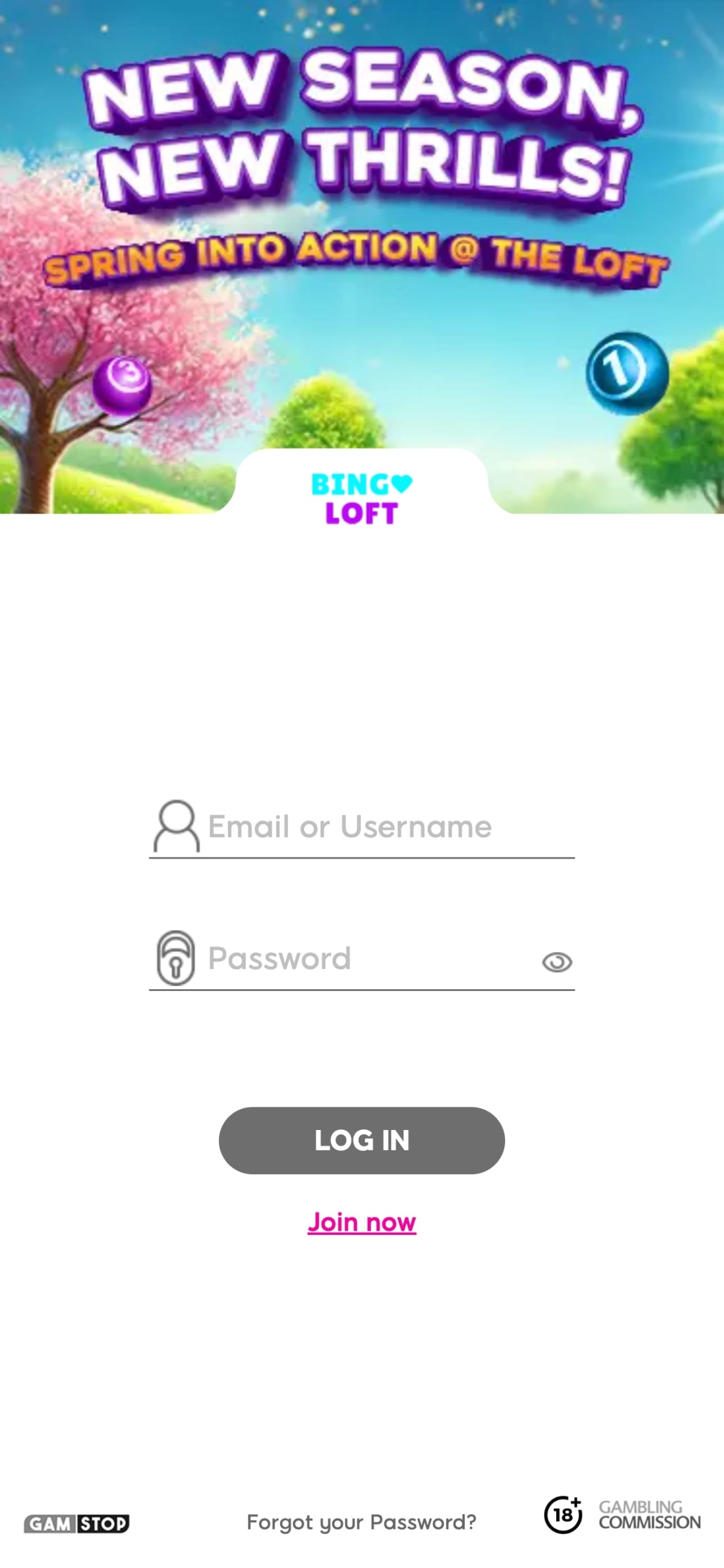 Bingo Loft Mobile Login