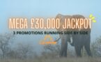 Mega, Major & Mini Giveaways: Your Chance to Win Big at Casimba!