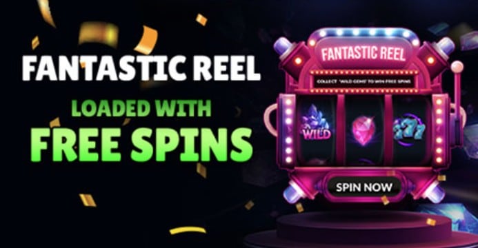 Fantastic Spins casino Fantastic reel Bonusmenu