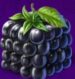 Symbol Blackberry cube slot Fluxberry by Tom Horn Gaming
