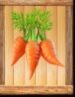 Symbol Carrots slot Wild Farm by Casimi