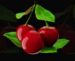 Symbol Cherries slot Respin Bells by Casimi