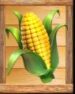 Symbol Corncob  slot Wild Farm by Casimi