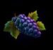 Symbol Grapes slot Fire’n’Frenzy 5 by Tom Horn Gaming