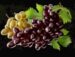 Symbol Grapes slot Respin Bells by Casimi