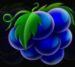 Symbol Grapes slot Respin Fool by Casimi