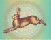 Symbol Hare slot Beastie Bux by Tom Horn Gaming