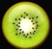 Symbol Kiwi slot Wild Wild Best by Casimi