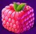 Symbol Raspberry cube slot Fluxberry by Tom Horn Gaming