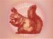 Symbol Squirrel slot Beastie Bux by Tom Horn Gaming