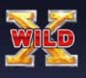 Symbol WILD Symbol slot 81 Vegas Magic by Tom Horn Gaming
