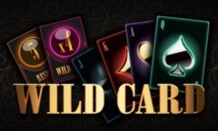 WILD CARD by Casimi