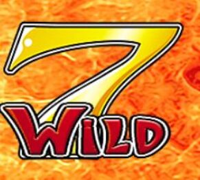 Symbol WILD Symbol slot Fire ‘n’ Hot by Tom Horn Gaming