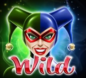 Symbol WILD Symbol slot Respin Fool by Casimi