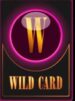 Symbol WILD Symbol slot WILD CARD by Casimi