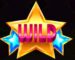 Symbol WILD Symbol slot Wild Wild Best by Casimi