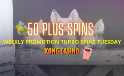 Kong Casino Tuesday Spins