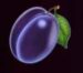 Symbol Plums slot Hot’n’Fruity by Tom Horn Gaming