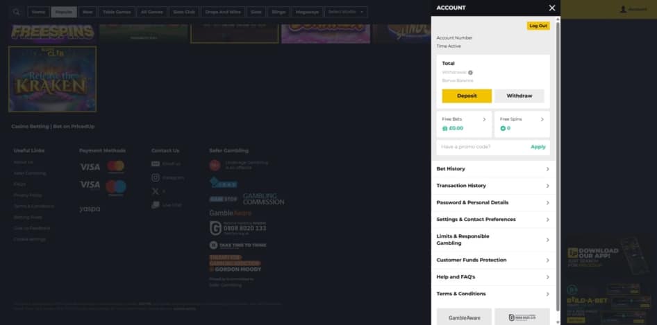 The account page at Priced Up Casino