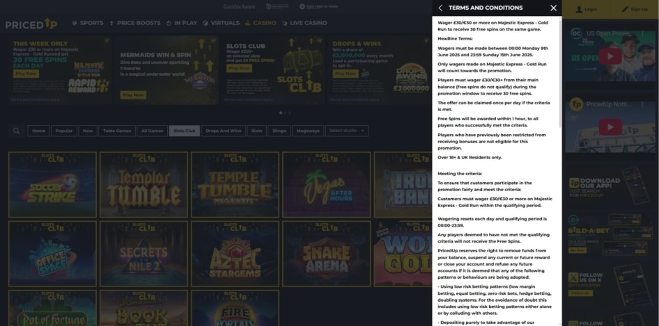 Priced Up bonus spins terms