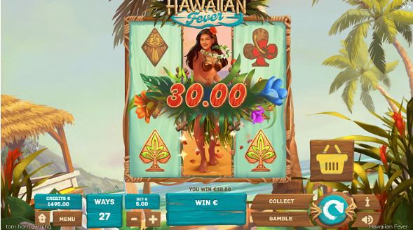 Theme and Symbols Hawaiian Fever