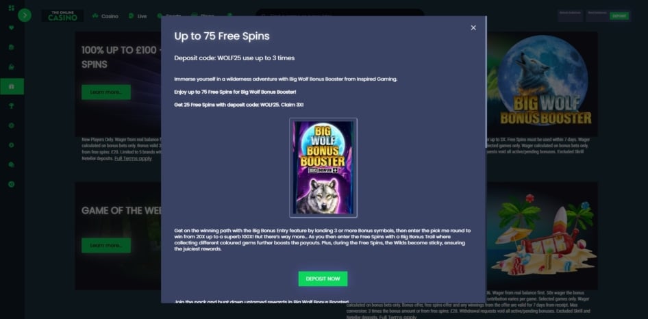 Bonus spins offer at The Online Casino